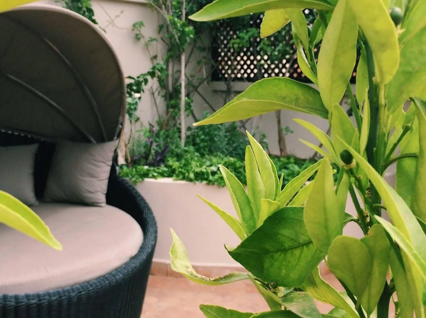 Riad O Marrakesch